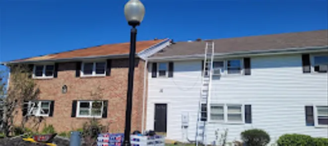 Hector r painting Picture 1