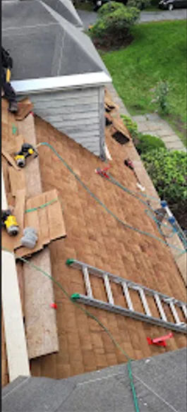 Hector r painting Picture 8