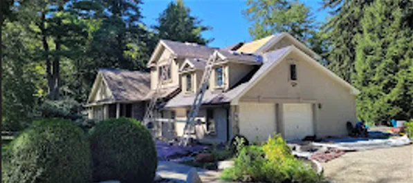 Hector r painting Picture 6