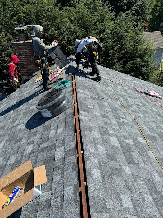 Frank Roofing LLC Picture 5