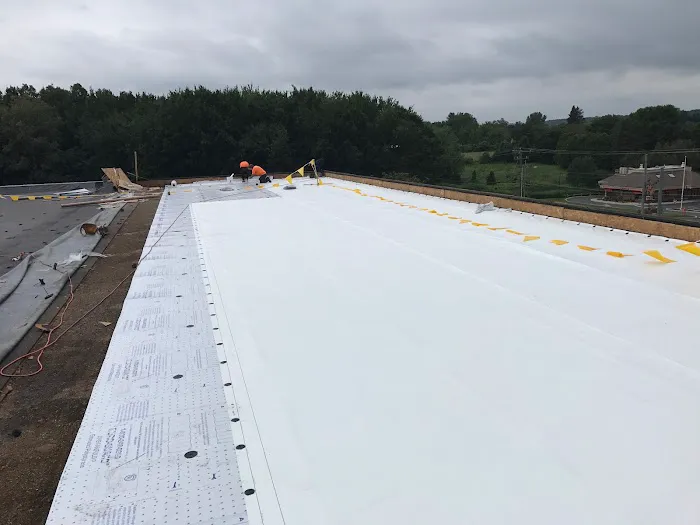 4 Elements LLC Picture 9