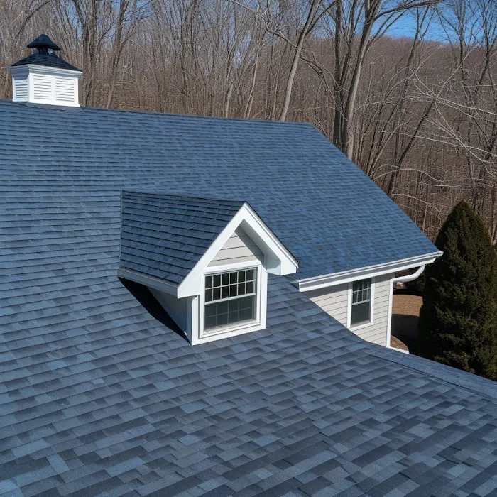 Leon Roofing LLC Picture 8