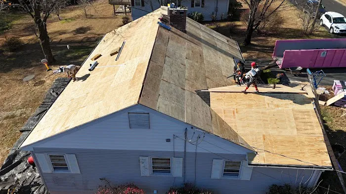 Rejoice & Restore Picture 8