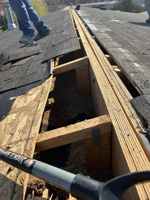 Ruiz Construction Picture 6