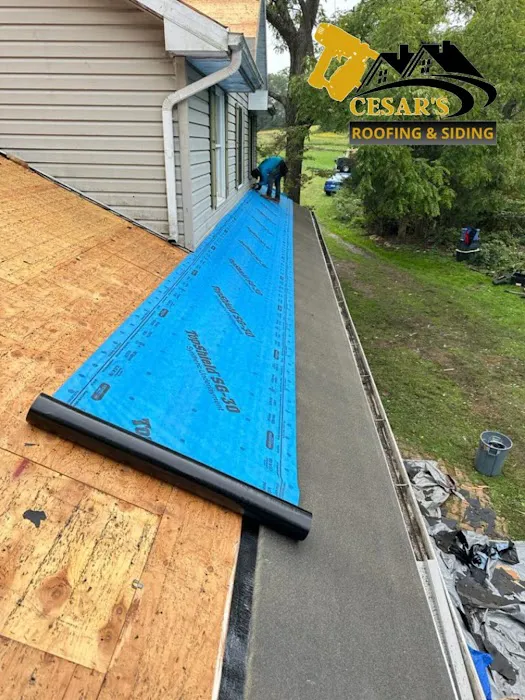 Cesar's roofing Picture 4