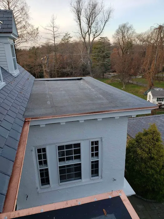 Cesar's roofing Picture 2