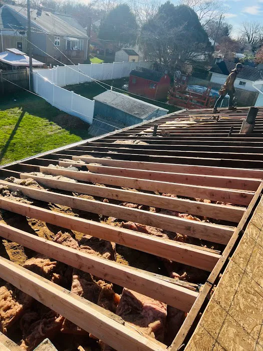 Cesar's roofing Picture 1