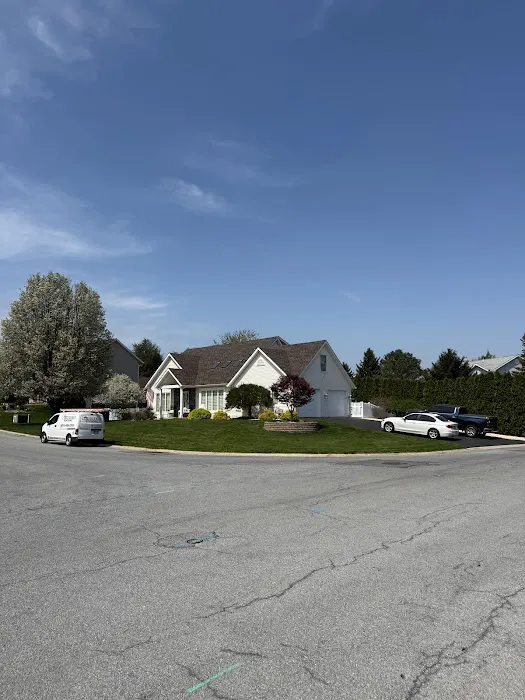 Birds Eye Roofing Picture 3