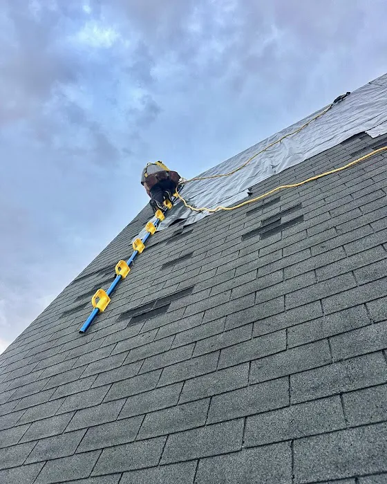 Birds Eye Roofing Picture 5