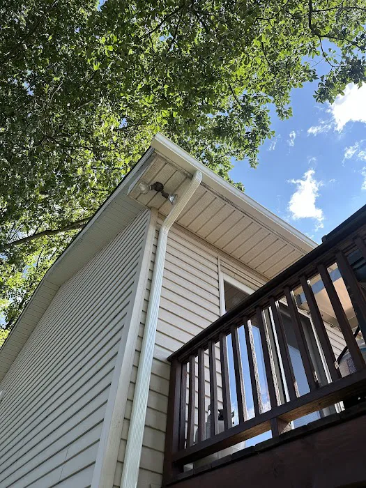 Birds Eye Roofing Picture 2