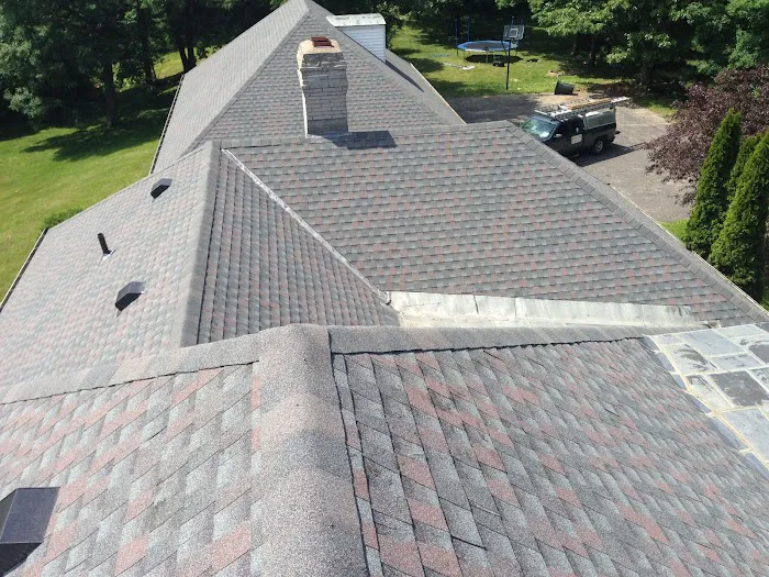 Busy Bee Roofing LLC Picture 3