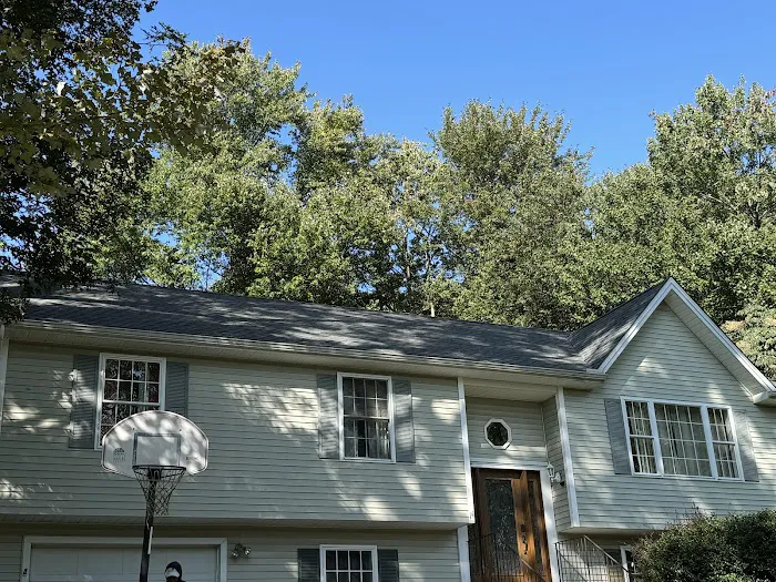 Busy Bee Roofing LLC Picture 2