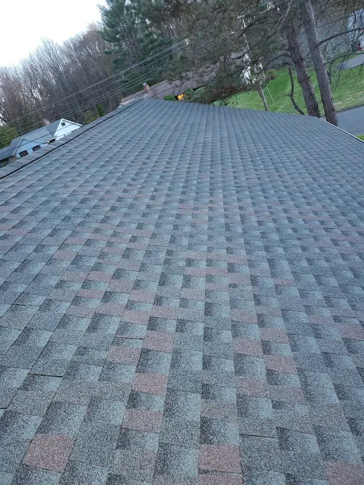 LA Rich Roofing LLC Picture 2