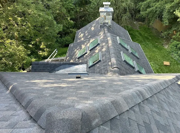 Mr. Gomez Roofing LLC Picture 6