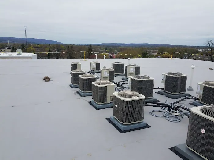 Skyway Roofing Inc. Picture 10