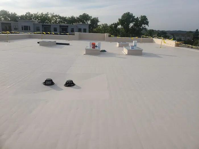 Skyway Roofing Inc. Picture 1