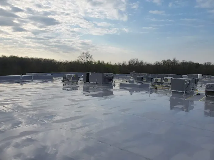 Skyway Roofing Inc. Picture 4