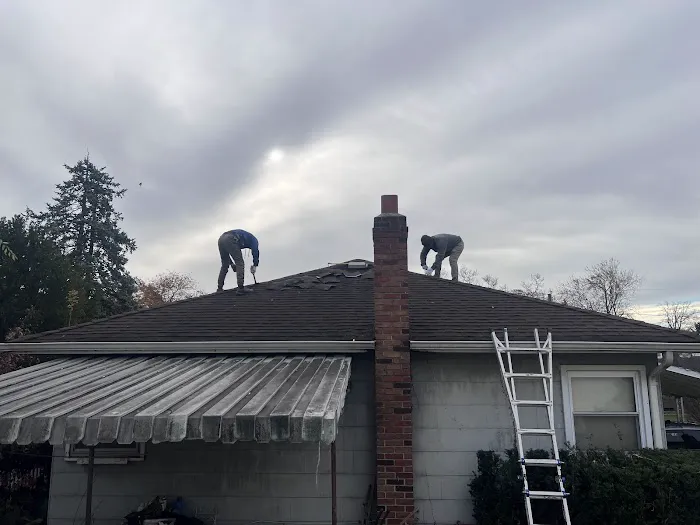 Flat Roof Company Picture 6