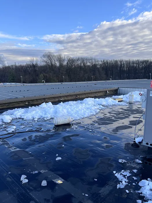 Flat Roof Company Picture 7