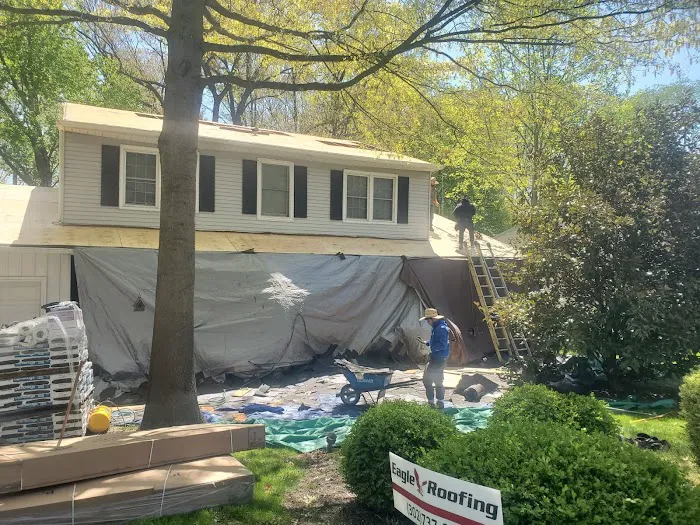 Eagle Roofing Picture 6