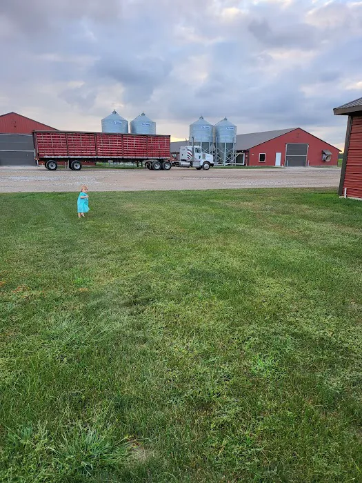 No Limit Roofing Picture 1