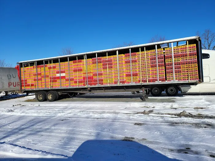 No Limit Roofing Picture 5