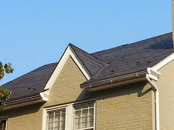 Lantz Slate Roof Repair Picture 1