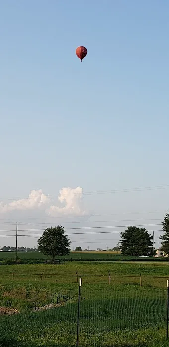 S & M Siding Picture 3