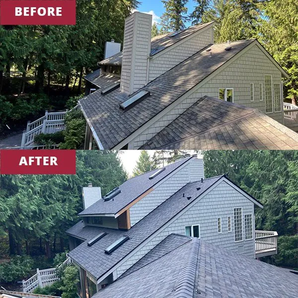 Dolphin Home Improvement LLC Picture 3