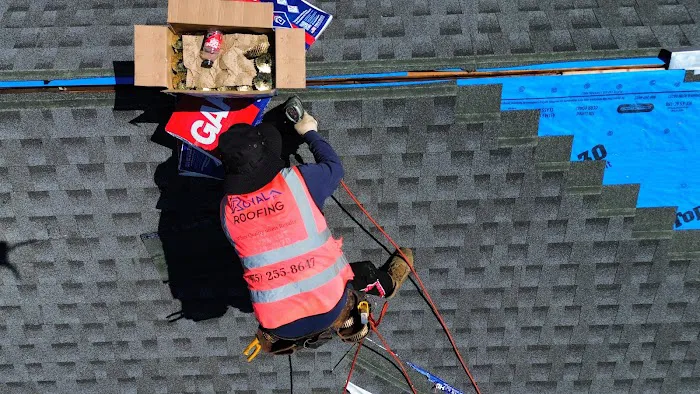 Royal Roofing Picture 7