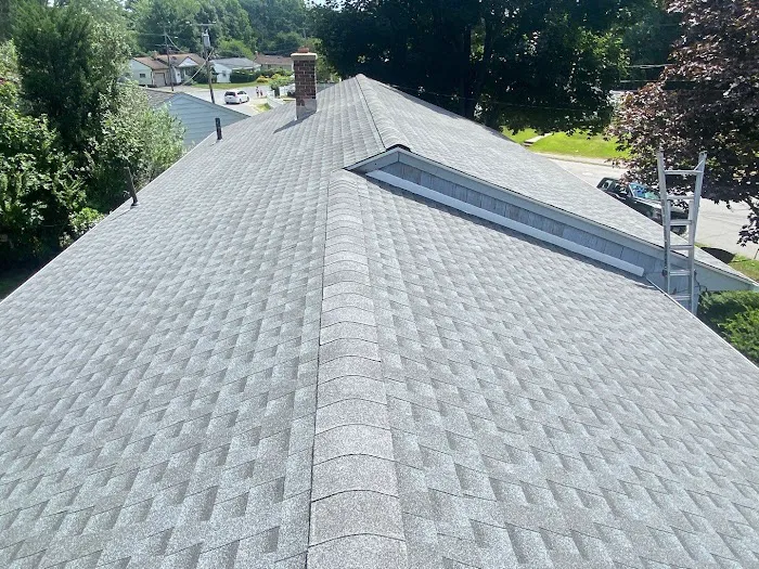 Manny Roofing Picture 9