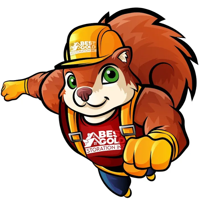 BEST GOLD RESTORATION INC Picture 1