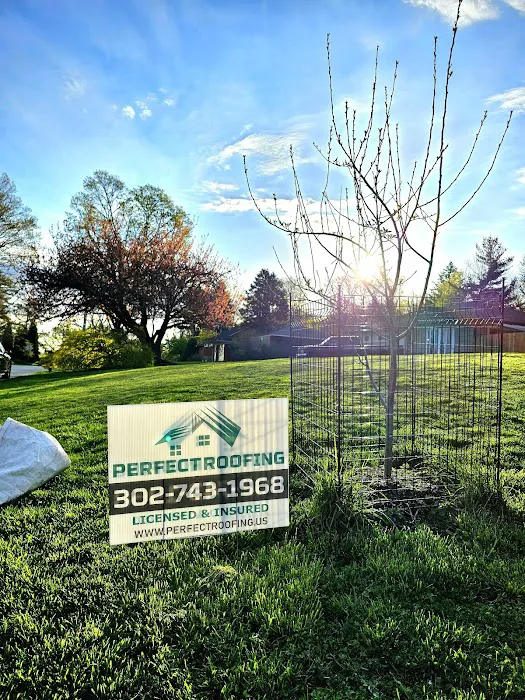 Perfect Roofing, Inc. Picture 7