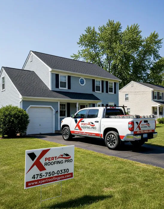 Xpert Roofing Pro Picture 7