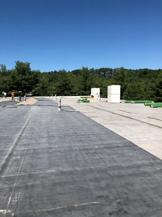 Elite Roofing Picture 2