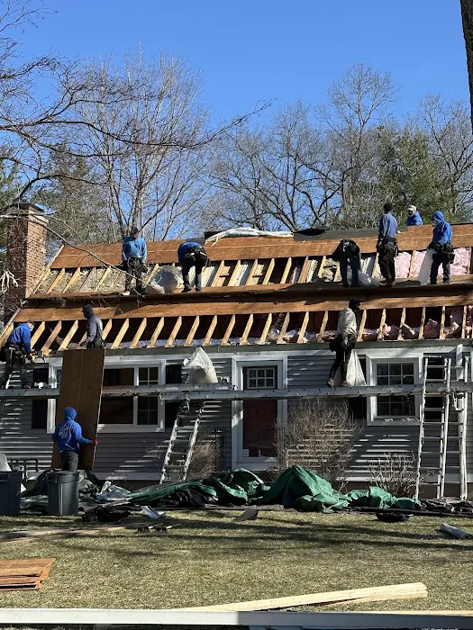 Royal Roofing Picture 1