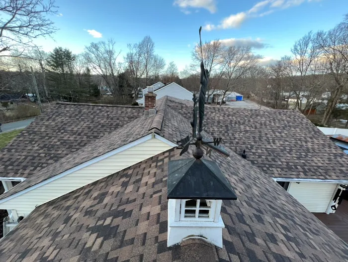 Brown Roofing Picture 5