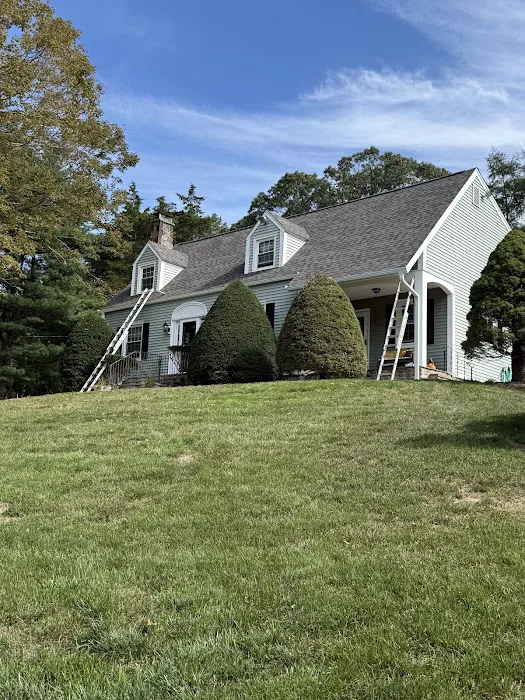 Brown Roofing Picture 6