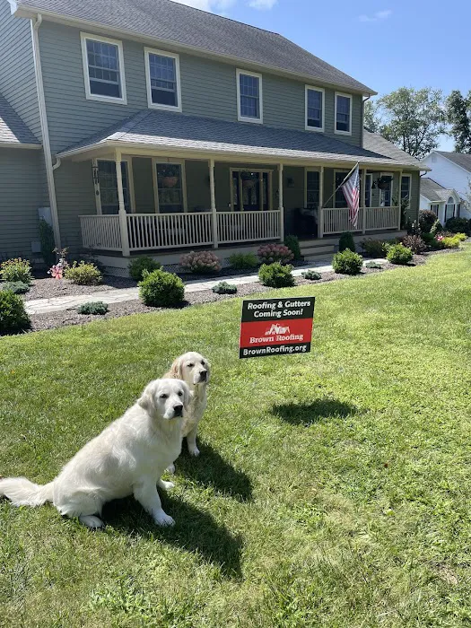 Brown Roofing Picture 9