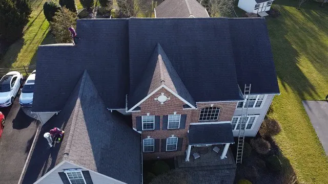 Alfaro Enterprises Picture 7