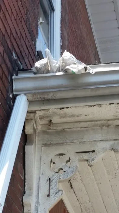 Mount Joy Roofing Picture 1