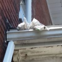 Mount Joy Roofing ico