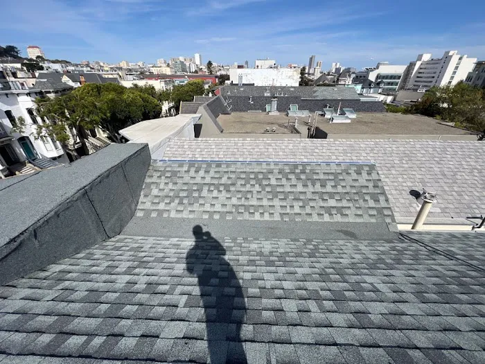 Fuller Roof & Leak Repairs Picture 1