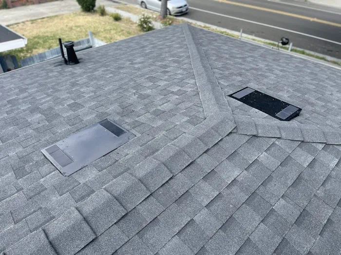 Fuller Roof & Leak Repairs Picture 4