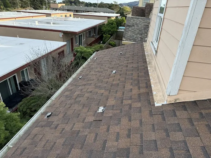 Fuller Roof & Leak Repairs Picture 3