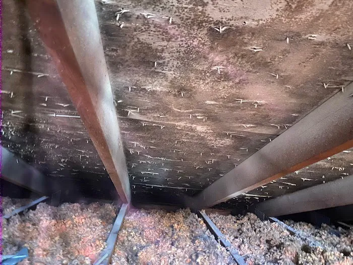 Sweet home Construction LLC Picture 6