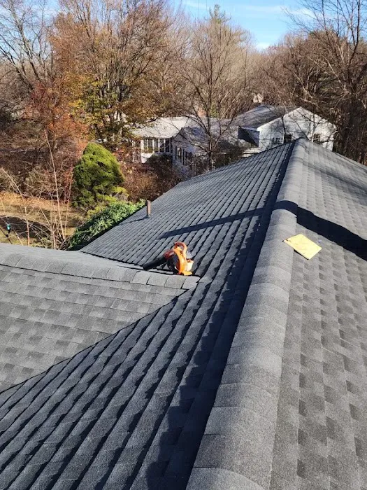 Total Roofing Picture 7