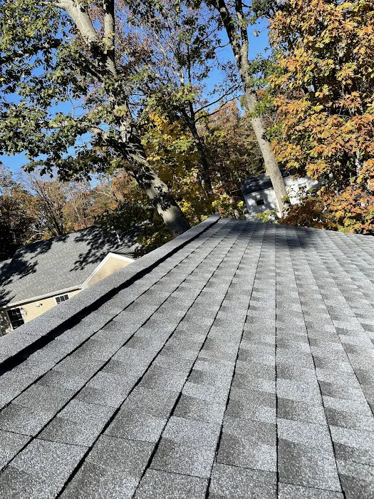 SOS Roofing & Construction Inc. Picture 4