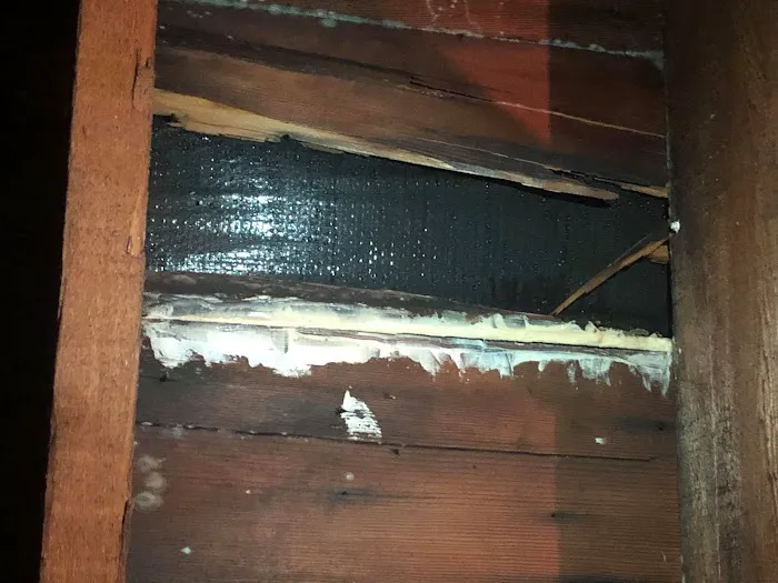 Shear Contractors and Son, LLC Picture 3