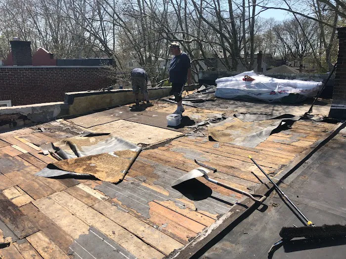 Roof Riders Unlimited Picture 2